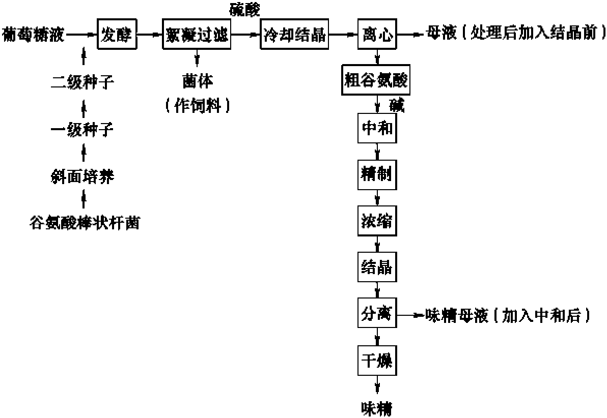 四、淀粉用于制造发酵及衍生产品